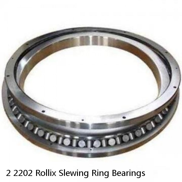 2 2202 Rollix Slewing Ring Bearings