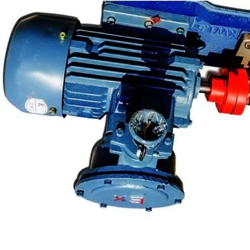 Sumitomo QT5133-125-16F Double Gear Pump