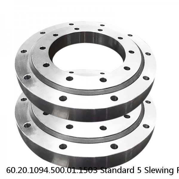60.20.1094.500.01.1503 Standard 5 Slewing Ring Bearings