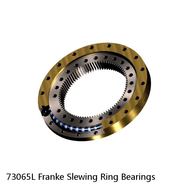 73065L Franke Slewing Ring Bearings