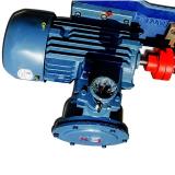 Sumitomo QT5223-40-5F Double Gear Pump