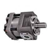Sumitomo QT6123-200-8F Double Gear Pump