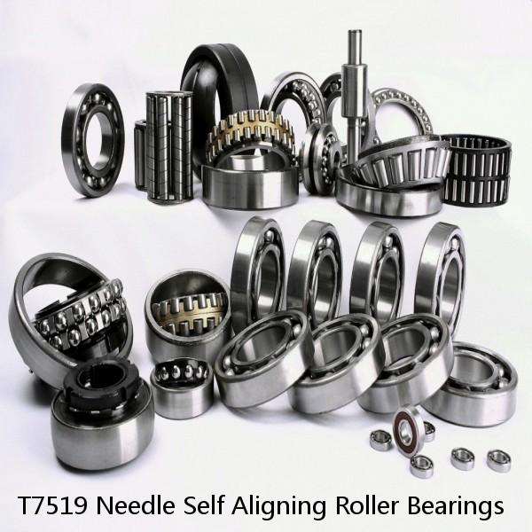 T7519 Needle Self Aligning Roller Bearings #1 small image