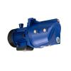 Yuken A145-LR07S-60 Variable Displacement Piston Pumps #1 small image