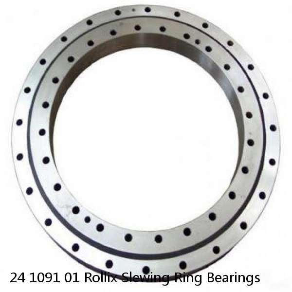 24 1091 01 Rollix Slewing Ring Bearings #1 small image
