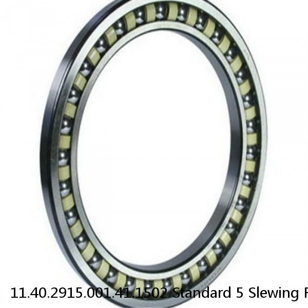 11.40.2915.001.41.1502 Standard 5 Slewing Ring Bearings #1 small image