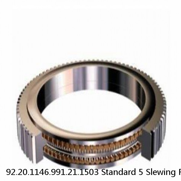 92.20.1146.991.21.1503 Standard 5 Slewing Ring Bearings #1 small image