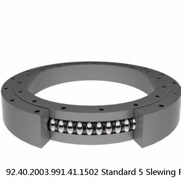 92.40.2003.991.41.1502 Standard 5 Slewing Ring Bearings #1 small image
