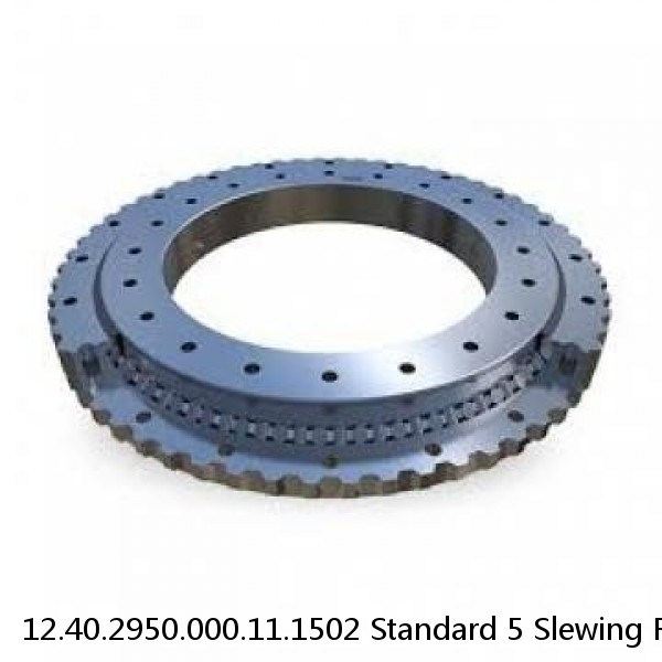 12.40.2950.000.11.1502 Standard 5 Slewing Ring Bearings #1 small image