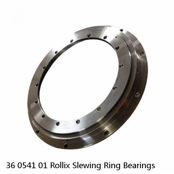 36 0541 01 Rollix Slewing Ring Bearings