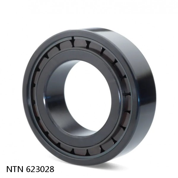 623028 NTN Cylindrical Roller Bearing #1 small image