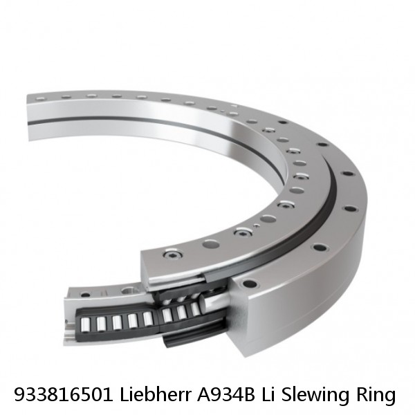 933816501 Liebherr A934B Li Slewing Ring #1 image