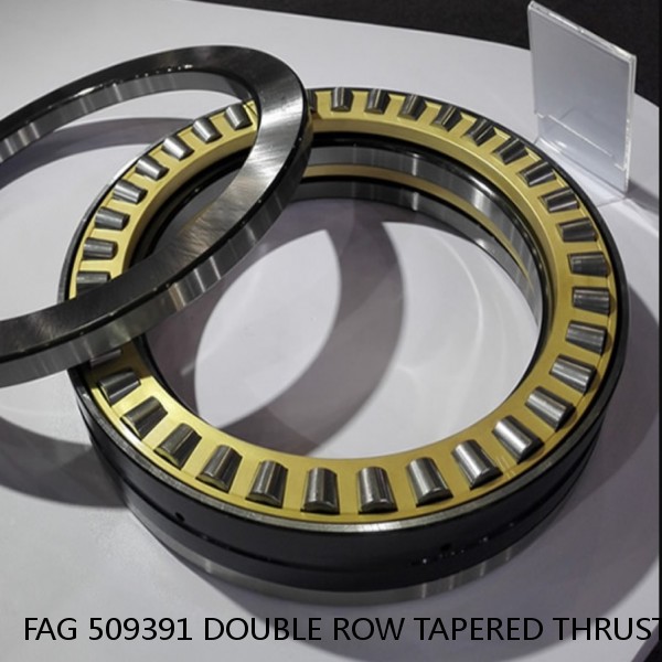 FAG 509391 DOUBLE ROW TAPERED THRUST ROLLER BEARINGS #1 image