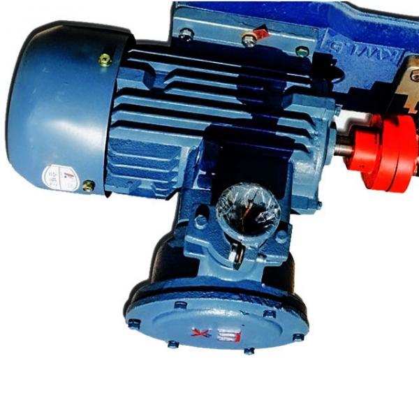 Sumitomo QT6123-160-4F Double Gear Pump #1 image