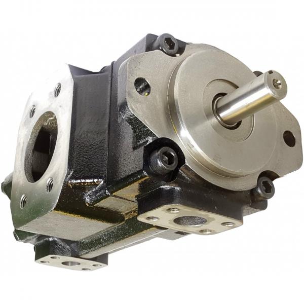 Denison PV15-1L1C-F00 Variable Displacement Piston Pump #1 image