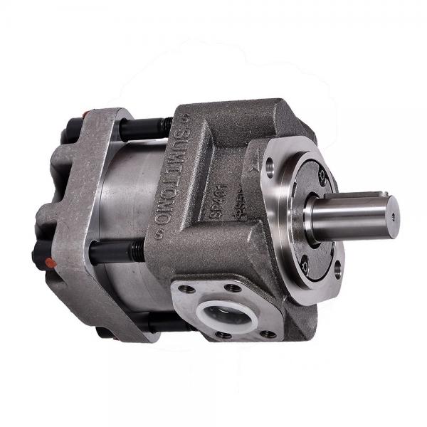 Sumitomo QT4233-31.5-10F Double Gear Pump #1 image