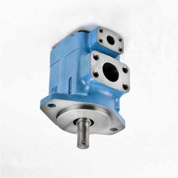 Vickers PVH063R52AA10E172010001AE1AA010A Pressure Axial Piston Pump #1 image
