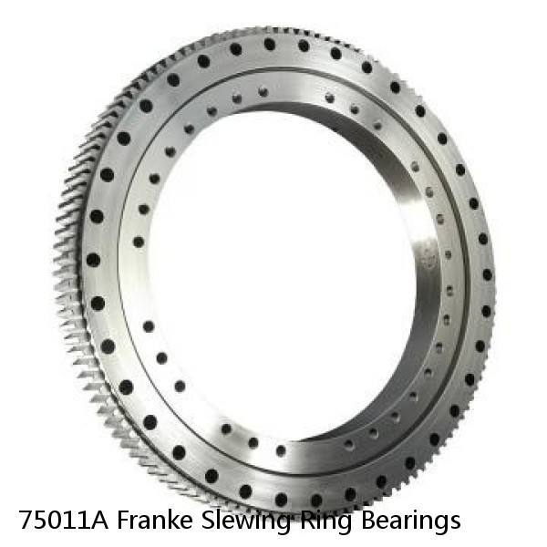75011A Franke Slewing Ring Bearings #1 image