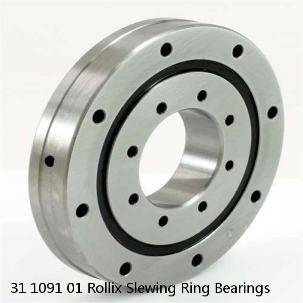 31 1091 01 Rollix Slewing Ring Bearings #1 image