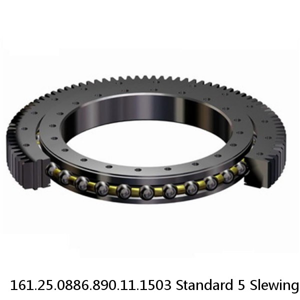 161.25.0886.890.11.1503 Standard 5 Slewing Ring Bearings #1 image