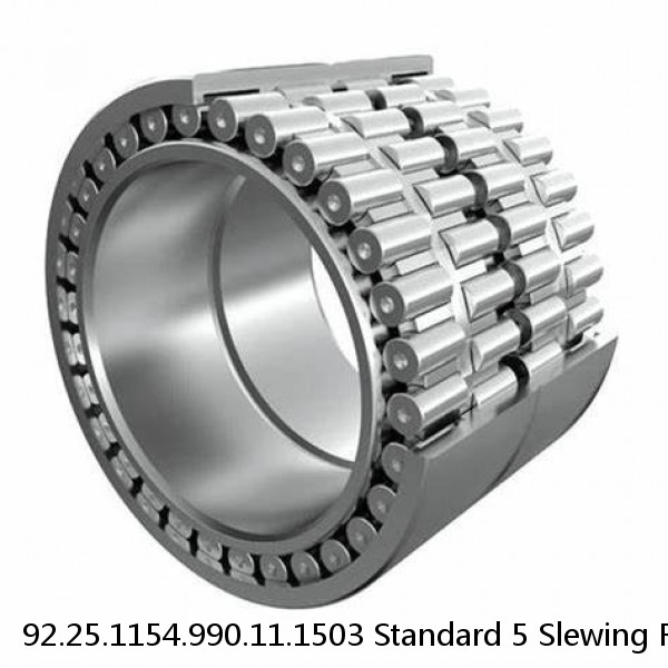 92.25.1154.990.11.1503 Standard 5 Slewing Ring Bearings #1 image