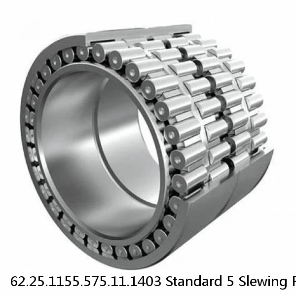 62.25.1155.575.11.1403 Standard 5 Slewing Ring Bearings #1 image