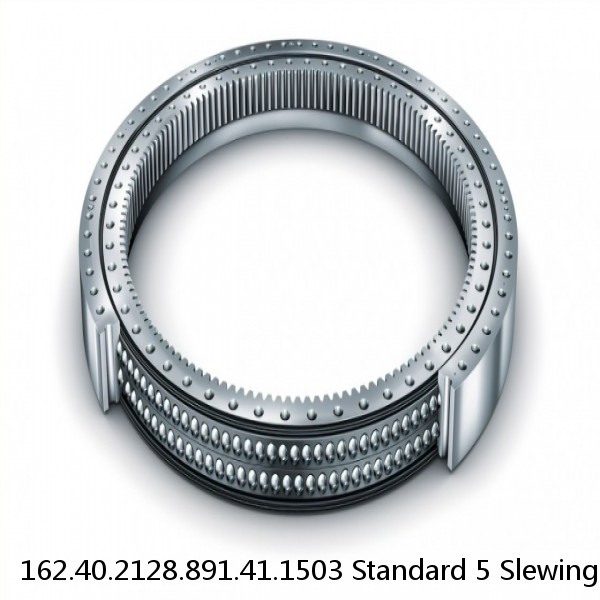162.40.2128.891.41.1503 Standard 5 Slewing Ring Bearings #1 image