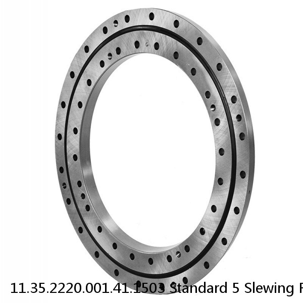 11.35.2220.001.41.1503 Standard 5 Slewing Ring Bearings #1 image