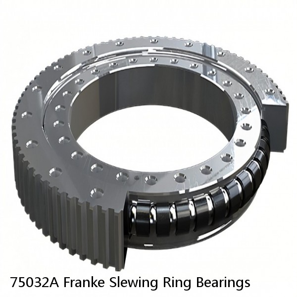 75032A Franke Slewing Ring Bearings #1 image