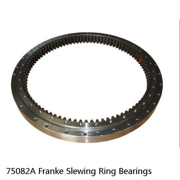 75082A Franke Slewing Ring Bearings #1 image